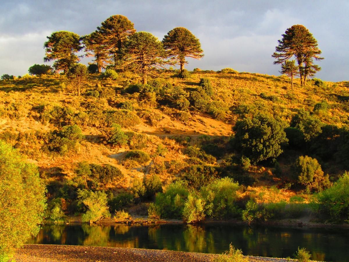 La Berendina Huechulafquen Lake Exterior photo
